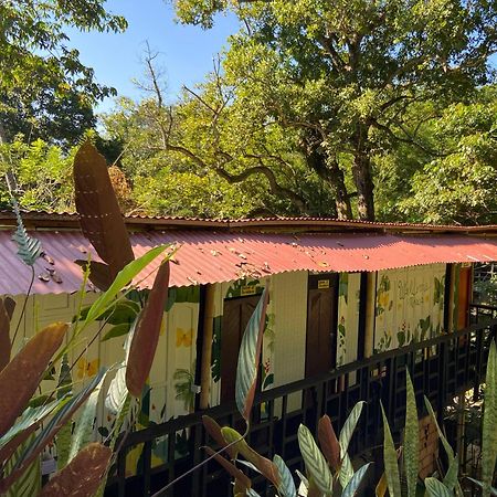 Hostal Las Mariposas มินกา ภายนอก รูปภาพ