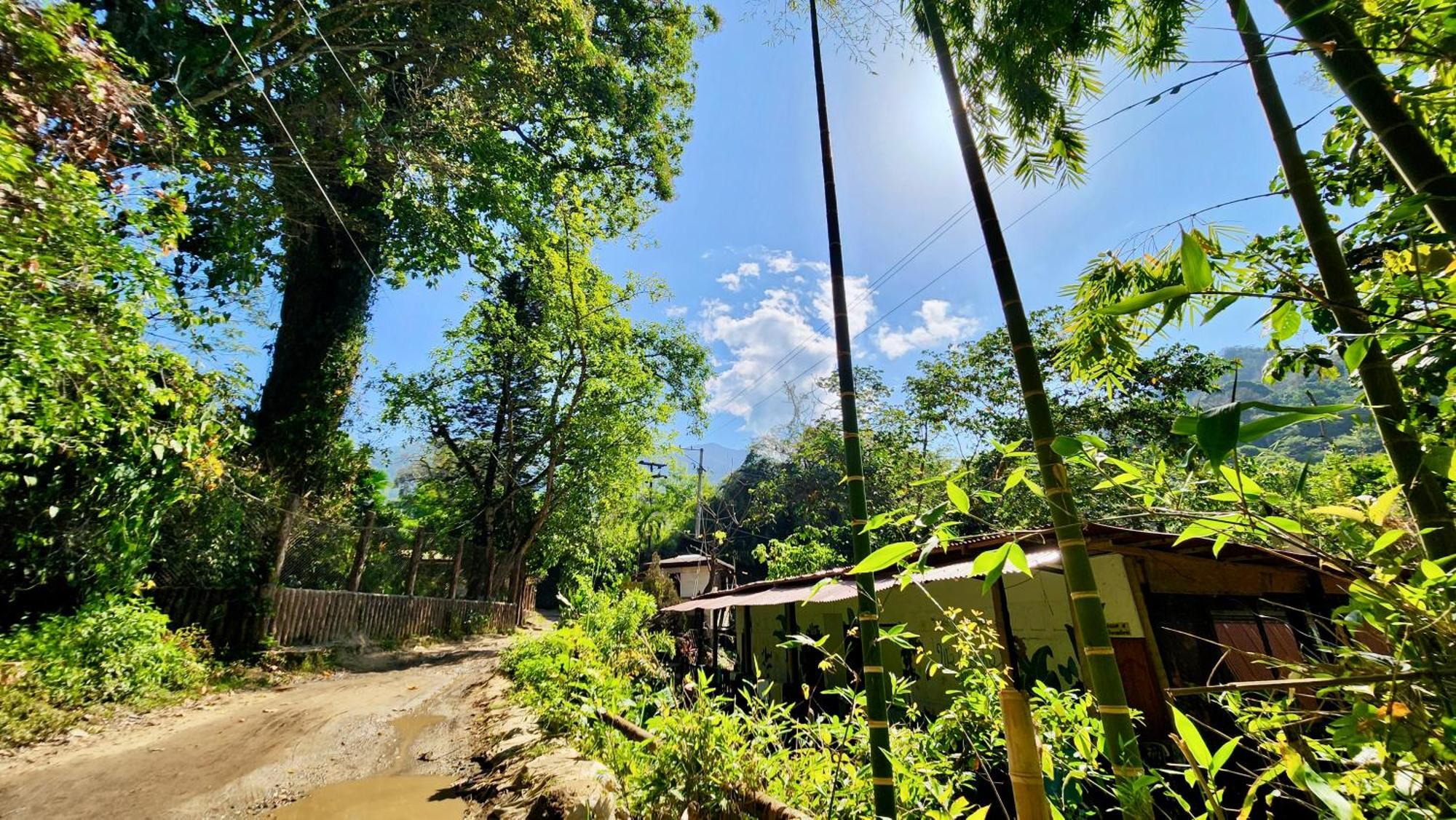 Hostal Las Mariposas มินกา ภายนอก รูปภาพ