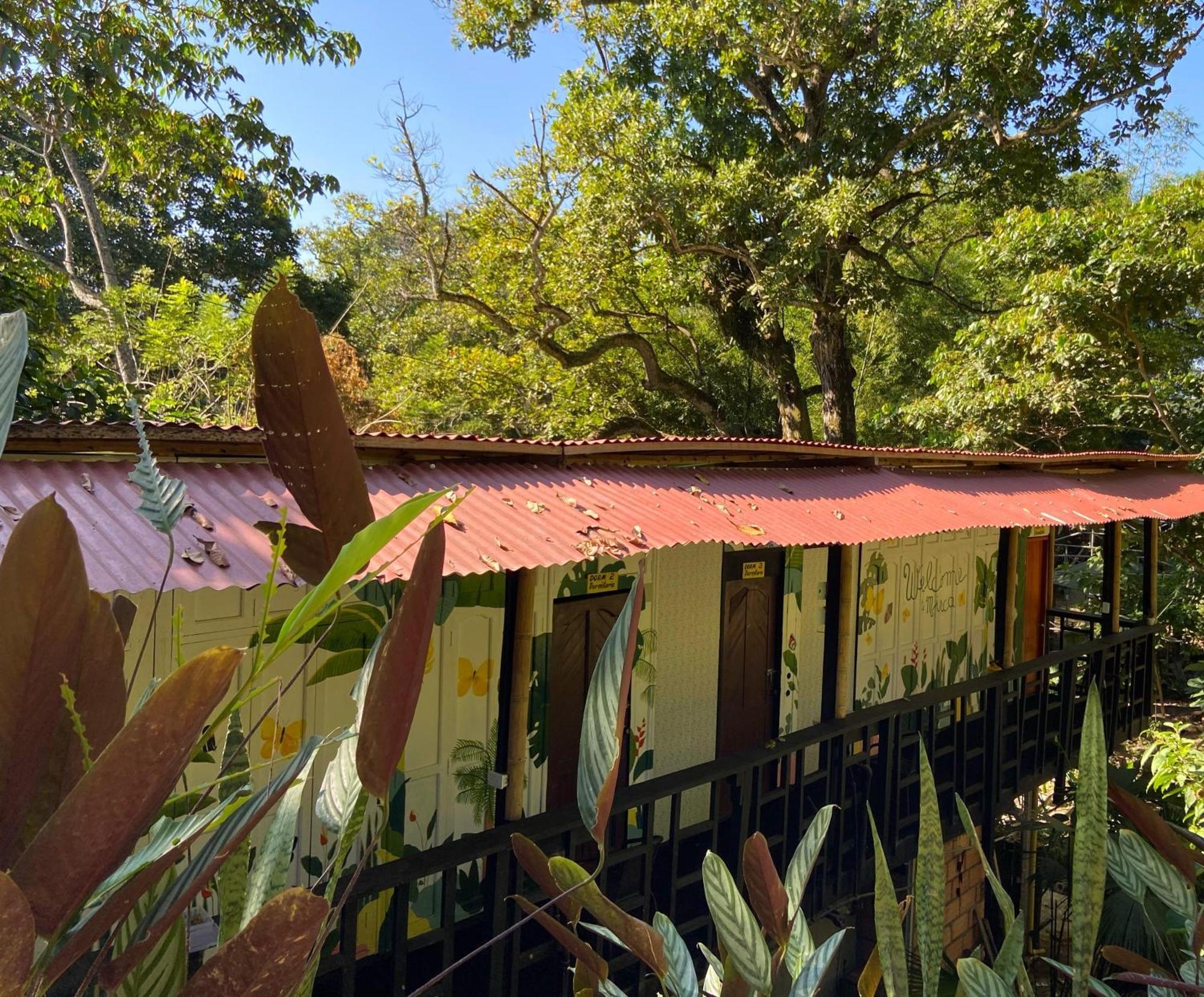 Hostal Las Mariposas มินกา ภายนอก รูปภาพ