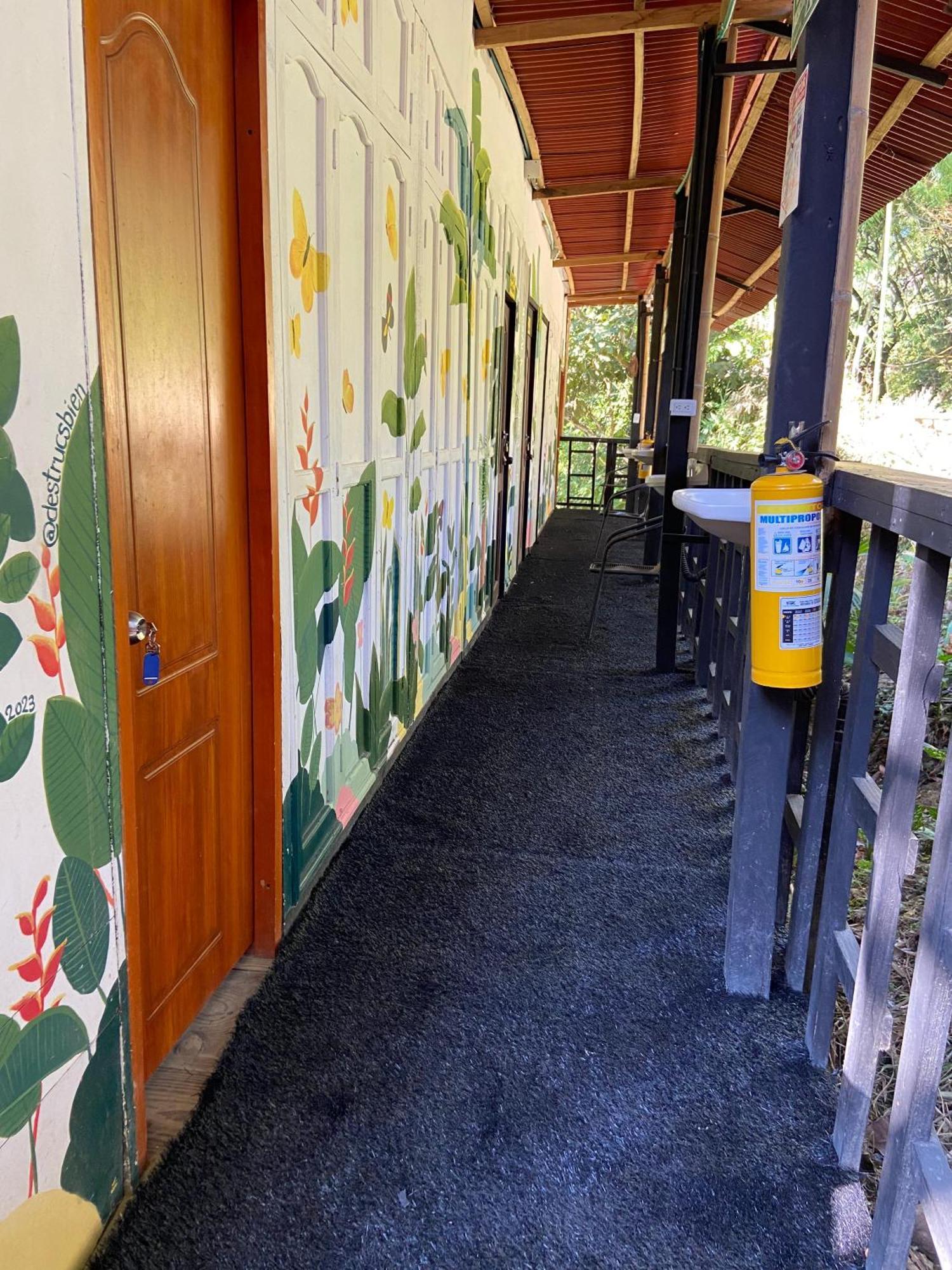 Hostal Las Mariposas มินกา ภายนอก รูปภาพ