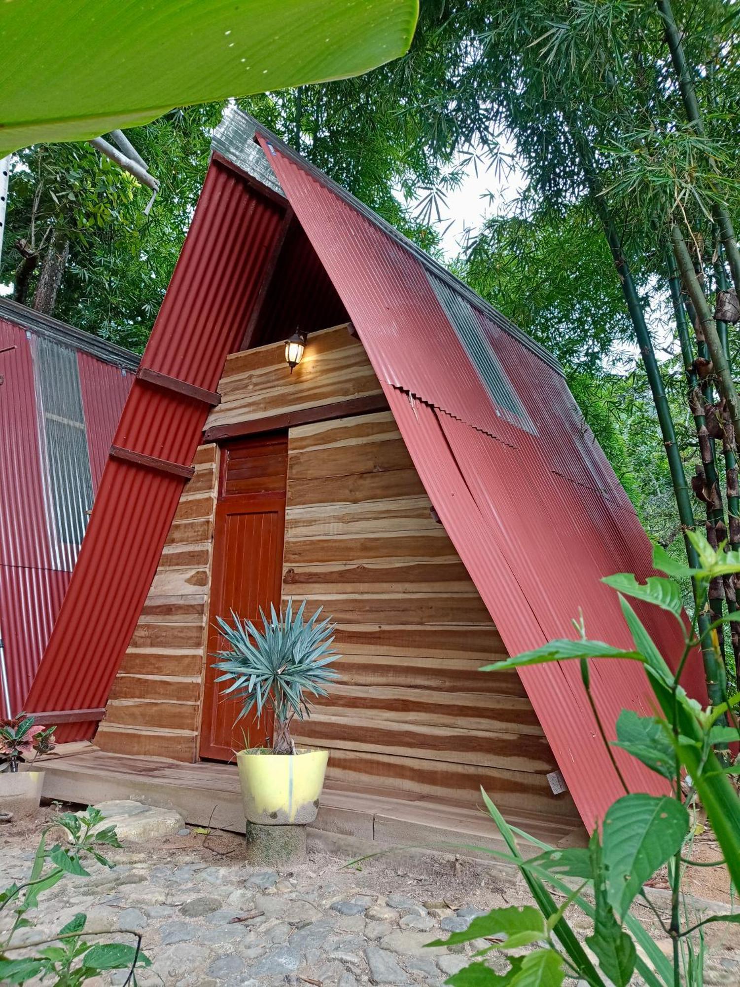 Hostal Las Mariposas มินกา ภายนอก รูปภาพ