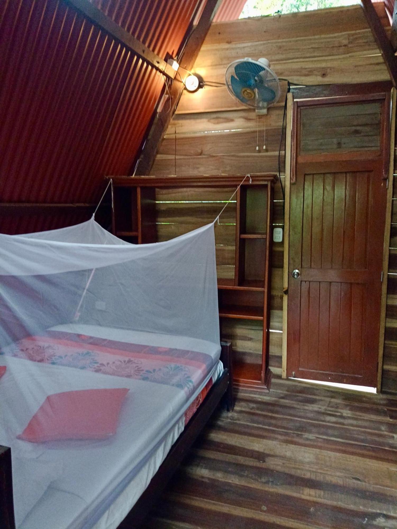 Hostal Las Mariposas มินกา ภายนอก รูปภาพ
