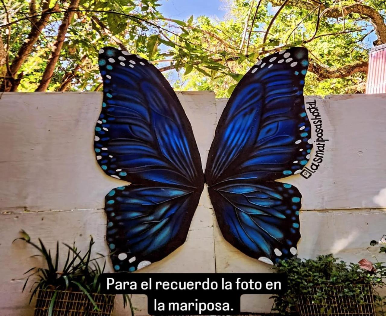 Hostal Las Mariposas มินกา ภายนอก รูปภาพ